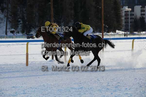 ET0Q1324 prot
